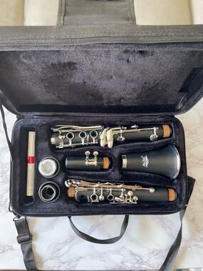 Jean Paul USA CL-300 Clarinet Bundle - 9 Reeds & Care Kit